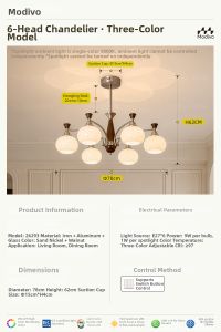 FANCY LAMP CLUB | Eye-Protecting Full-Spectrum Vintage Style Persimmon Pendant Light