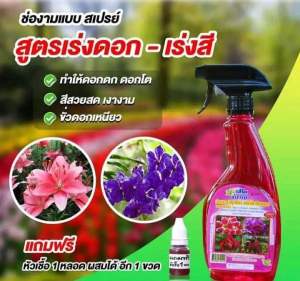 ช่องาม สเปรย์ช่องาม สารชีวภาพ ปุ๋ยฮอร์โมนพืชพร้อมใช้ ขนาด 500 ml. (แถมฟรี!! หัวเชื้อผสมได้อีก 1 ขวด)