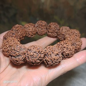 Gegegems XL 23.5 to 24mm+ premium natural Nepal Rudraksha high altitude (dense & high natural oil contents) pinkish same tree both sides Plum Flower Needle holes Honeycomb Double Dragons 5 Mukhi bracelet