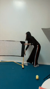 KML KEMILNG Pickleball Net 120cm Pickleball Net with Practice Rebounder Easy Setup Pickle Ball Trainer for Game Beach Solo and Dink Pickleball Training