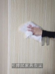 [Ready Stock] 30pcs Disposable Dust Paper Dust Removal Mop Paper Dust Removal Dry & Wet Cleaning Wipes