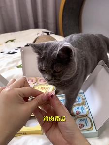 YANXUAN | Thức Ăn Ẩm Dinh Dưỡng Cho Mèo Bao Gồm Gói Bổ Sung Nước