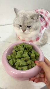 【SG ready stock】Freeze Dried Cat Grass Cubes for Cats Natural Hairball Remover Treats Digestive Nutritious Pet Snack