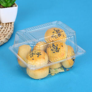100 PCS Disposable Pastry Packaging Box Plastic Rectangular Pastry Box Transparent Bakery Takeout Container