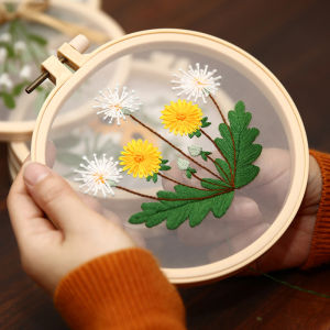 DIY Transparent Lace Embroidery European Style Needlework Set