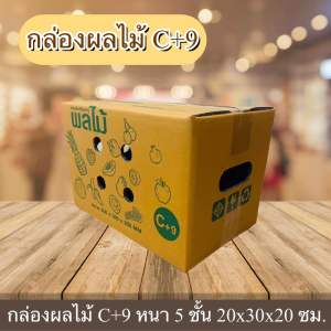 กล่องผลไม้ C+9 หนา 5 ชั้น พิมพ์ลาย เจาะรู กระดาษ KA125 (แพ็ค 10 ใบ)