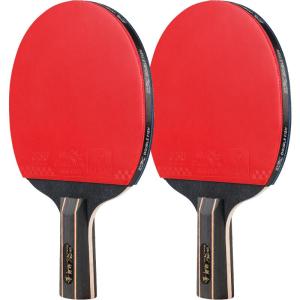 Double Fish | Children Adults Competition Special Table Tennis Racket