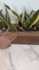 Chậu Gỗ Dài Chữ Nhật Trồng Cây Cảnh Nhiều Kích Thước