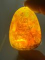 Hổ phách baltic (amber) Nga. 