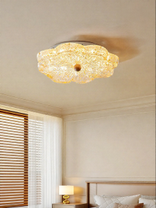 FANCY LAMP CLUB | Eye-protective Resin Creative Flower Ceiling Light