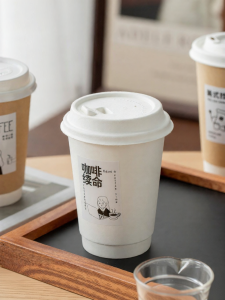 NUOXIAN | Insulated Disposable Drinking Cup with Lid