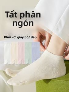 JINGCHI | Tất cotton nguyên chất dành cho nữ tất ba gót mỏng mùa hè thoải mái thoáng khí dùng để đi giày cao gót dùng để đi dép quai hậu không gân