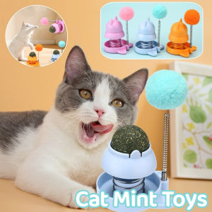 Catnip Wall Ball Cat Toy Pet Toy for Cats Clean Mouth Promote Digestion Kitten Candy Licking Snacks