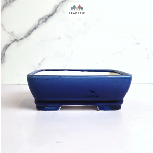 The Leaferie Bonsai (Series 66) plant pots Rectangular Ceramic flowerpot flowerpots flower pot