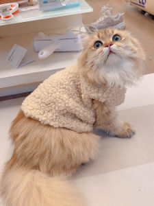 Cashmere Ragdoll Clothes Winter Heattech Thickened Anti-Lint Princess Style American Shorthair Blue Cat German Autumn & Winter Vest