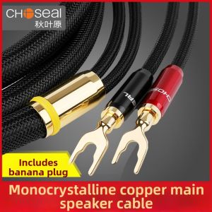 Choseal | Dây Cáp Loa Chuyên Nghiệp Hi-Fi Đồng Dây Cắm Banana Đôi