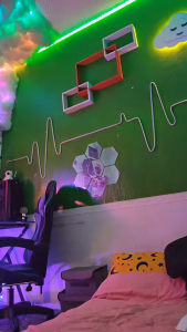 Paket LED Neon Flex RGB Running 10Meter 5Meter DC 12V/24V SENSOR HP & APP Control