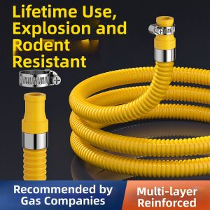 Standard Home-Use Anti-Explosion Stainless Steel Hose Gas Tube