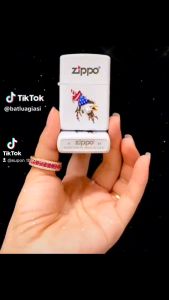 BẬT LỬA ZIPPO SƠN TĨNH ĐIỆN 2 MẶT CÓ MỘC ĐÁY HÌNH ĐẠI BÀNG CỜ MỸ