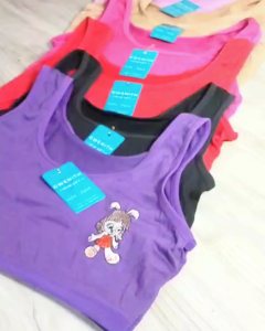 12 PCS Miniset Anak Remaja Gwenith Bordir Warna Pakaian Dalam BEST SELLER 9801