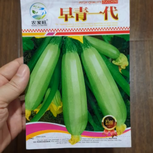 Hạt giống bì ngòi trái dài vỏ xanh hạt giống nhập khẩu nội địa Trung -YẾN LIÊN SHOP