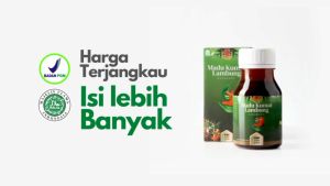 Madu Kumat Lambung Annabawy 350gr - Solusi Atasi Asam Lambung dan Maag Kronis