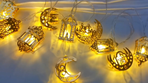 3M 20LED Ketupat LED Lights Battery &USB Light Fairy Lights String Warm LED Light Home Hari Raya Party Decoration