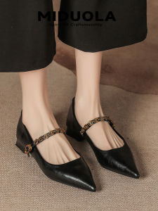Black Leather Mary Jane Shoes Womens Fashion Spring Autumn Pointed Toe Thick Heel Single Shoes Korean Style Slip-On Shoes