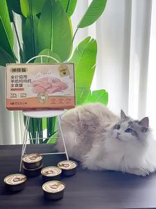 SHENJINGMAO | Nutritional Chicken & Milk Wet Cat Food for Mixing