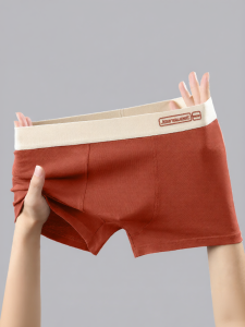 Jeanswest | Cotton Breathable Loose Fit Mens Boxer Briefs