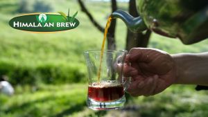 ชาสีอำพันสว่าง ชนิดซอง แพ็ค 25 ซอง (low caffeine)