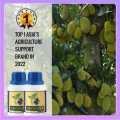 GARDEN 69 pupuk vitamin tanaman. 
