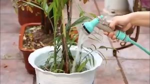 Bộ Vòi Rửa Xe Hơi Ô Tô Dài 12m Cuộn Lô Cuốn Thu Dây 6 Chế Độ Xịt Rửa Tưới Chất Liệu Dây PVC Loại Tốt