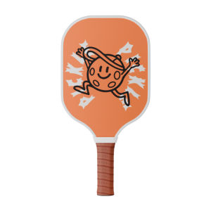 YEACHOSO | Childrens Training Beginner Cartoon Glass Fiber Pickleball Paddle Set
