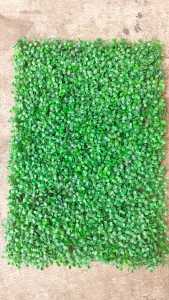 Daun Dolar Sintetis/daun rambat pagar/daun dolar ukuran 60 cm x 40 cm/ dekorasi dinding tembok pagar .