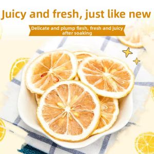 FANZUZHEN | Freeze-Dried No Sugar Additives Cold Brew Lemon Slices