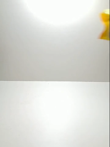 Tartary Buckwheat Tea 苦荞茶 (全株型) 黑苦荞麦茶 美容养颜 养生茶 浓香 可干吃 散装茶