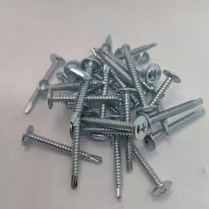 [Bán theo 100g] Vít bắn sắt đầu dù vít sàn dù - Đăng Khôi Tool