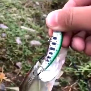 SITA Fishing Bait 5g/5cm Sinking Minnow Lure SwimBait Lure 3D Eyes Minnow Buzz Bait Lure