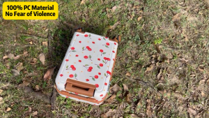 SEA CHOICE 4 Pcs Kids Luggage Set(1 Cabin Suitcase 1 Canvas Backpack 1 Canvas Lunch Bag 1 Pen Pouch)19 Inch Carry-on Luggage with TSA Lock Children Rolling Luggage for Girls Boys Suitcase with Spinner Wheels Polycarbonate Material Hardshell Lightweight