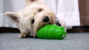 Dog Chew Toys with Fun Sound-making Increase IQ Release Anxiety Clean Teeth Interactive Game Training Caterpillar Shape Pet Toys
