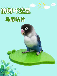 Parrot Platform Leaf Shape Toy Bird Relieving Depression Tiger Skin Stand Shelf Peony Stand Pole Xuanfeng Stand Stick Bird Cage Stand Bar