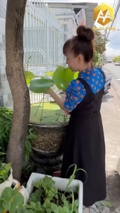 Bột Ngũ Cốc An An Hỗ Trợ Món Ăn Kiêng 9 Loại Hạt 600g - Gói Đơn