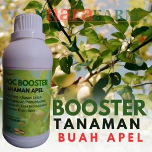 Pupuk Apel Cepat Berbuah: Penyubur Tanaman & Pelebat Buah