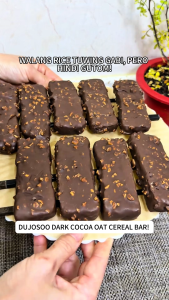 DUJOSOO Oatmeal Cereal Bars （Dark Chocolate White Chocolate Flavors）FDA Non-Fried HALAL Oat 100g（25g*4）