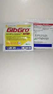 ZPT GibGro 10 SP: Sacet Kemasan 1 Gram Nufarm