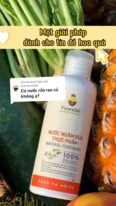 Nước ngâm rửa thực phẩm Fuwa3E 1L100% enzyme từ dứa giúp loại bỏ độc tố thực phẩm khử tanh cho thịt cá hiệu quả - Fuwa3e Store HaNoi