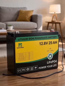 E-HONSTONE 12V LiFePO4 Deep Cycle Battery | Solar Storage Battery With Smart BMS 10AH/25AH