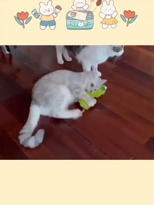 SKISOPGO Catnip Toys Cat Plush Pillow Cat Caterpillar Toys Durable Bite Resistant Kitten Self-Happy Toys