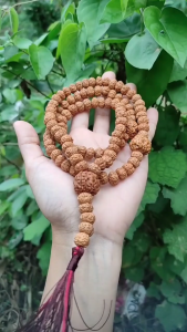 TASBIH 99 RUDRAKSHA PREMIUM GOOD JENITRI GOOD